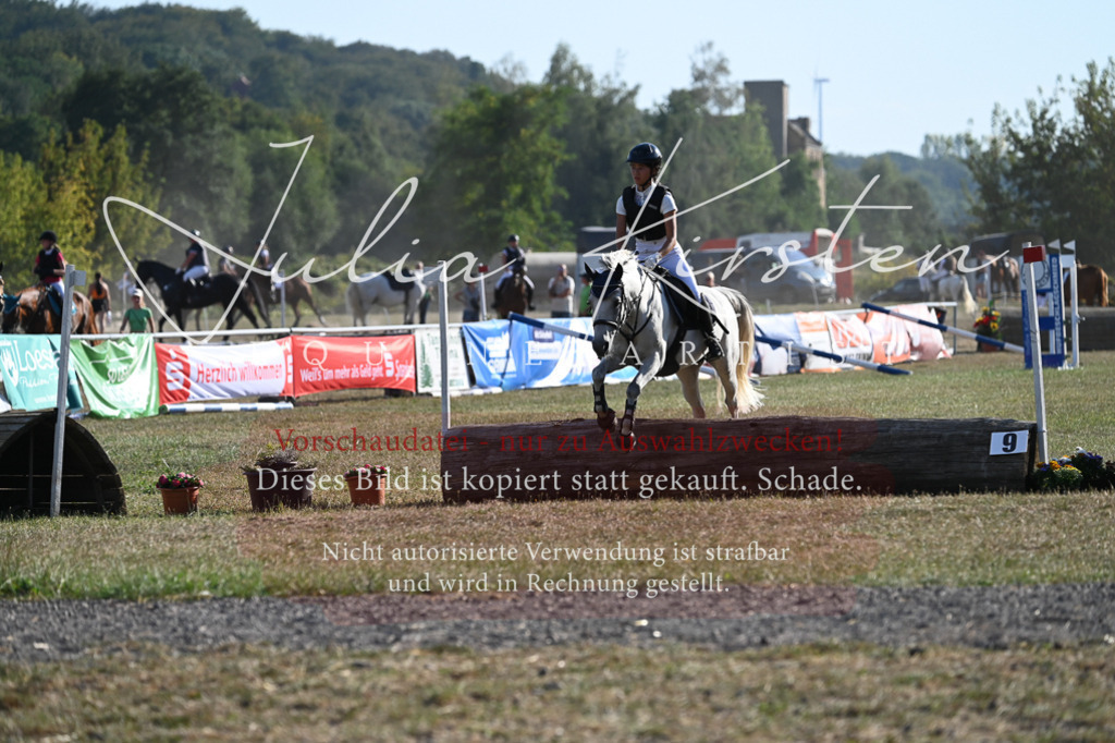 DSC_8933 | Pferde- und Turnierfotografie in Westsachsen. Pferdeportraits, Auftragszeichnungen und intuitive Kunst.