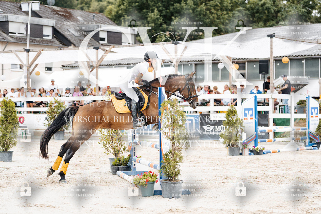 CK908206 | Turnierfotografie Pferdefotografie Trier Rheinland-Pfalz Pferdesport Reitsport Tierfotografie Sportfotografie Pferdevideo Pferdevideografie Equestrianvideography equestrianphotography  - Realisiert mit Pictrs.com