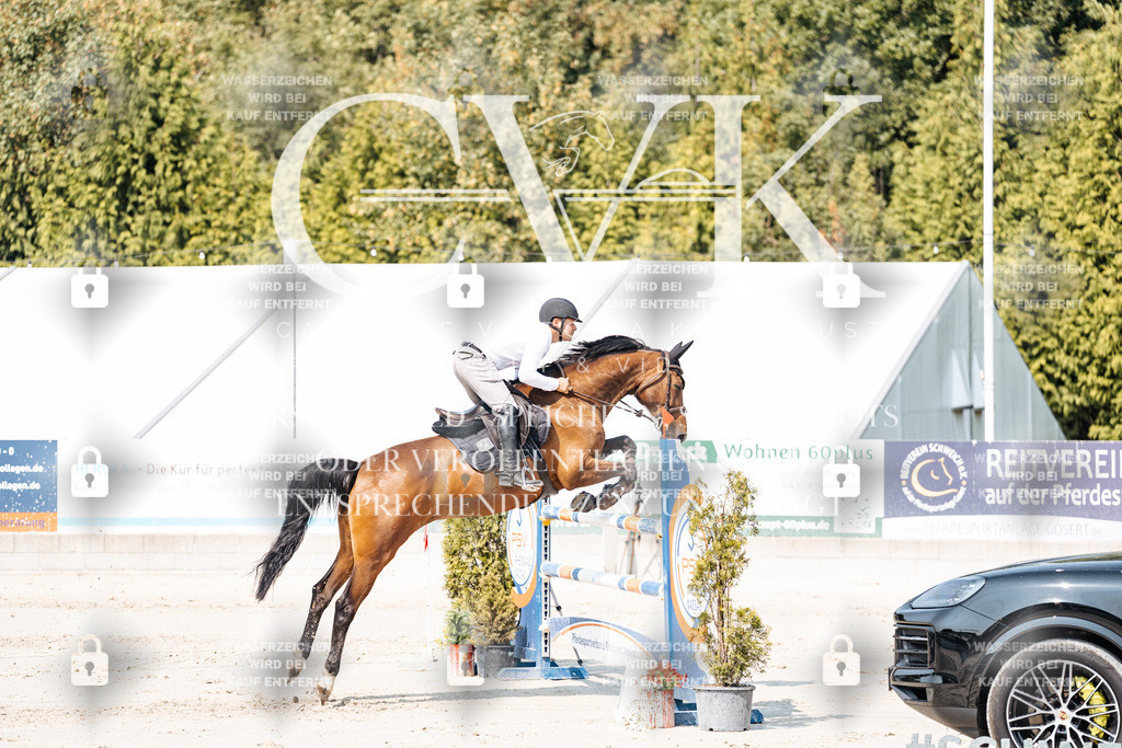 CK901670 | Turnierfotografie Pferdefotografie Trier Rheinland-Pfalz Pferdesport Reitsport Tierfotografie Sportfotografie Pferdevideo Pferdevideografie Equestrianvideography equestrianphotography  - Realisiert mit Pictrs.com
