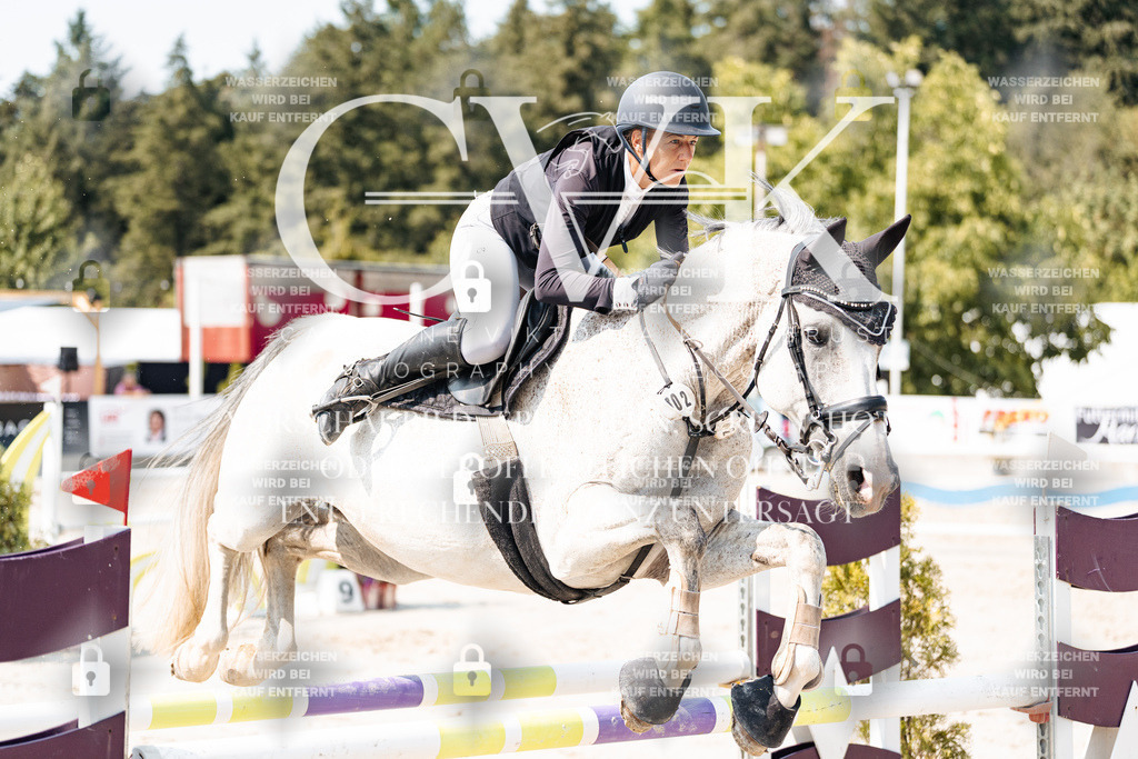 CK901913 | Turnierfotografie Pferdefotografie Trier Rheinland-Pfalz Pferdesport Reitsport Tierfotografie Sportfotografie Pferdevideo Pferdevideografie Equestrianvideography equestrianphotography  - Realisiert mit Pictrs.com