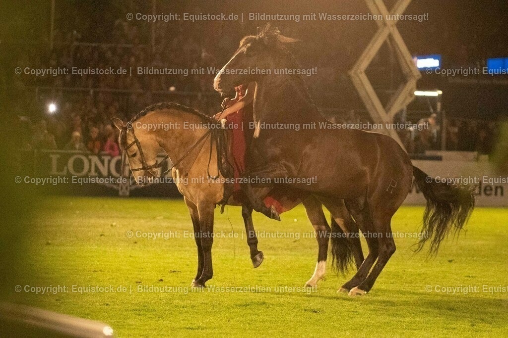 20230526_Pferdenacht_1454 | equistock