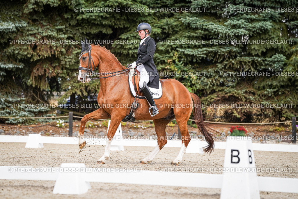 DSC06503 | Pferdegrafie