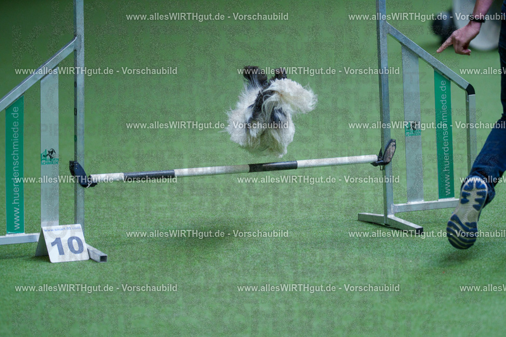 @allesWIRTHgut_Tierfotografie - www.allesWIRTHgut.de - 2604261326-7R501831 | Professionelle Tierfotografie in Mönchengladbach von Daniel Wirth (allesWIRTHgut). Liebevolle & natürliche Bilder von Hunden & Katzen für unvergessliche Erinnerungen.