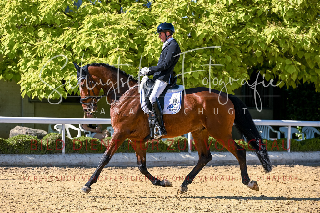 Schugtsche-Aluta25-50.Dressurpferdeprf.L-250 | Schugtsche Fotografie - Realisiert mit Pictrs.com