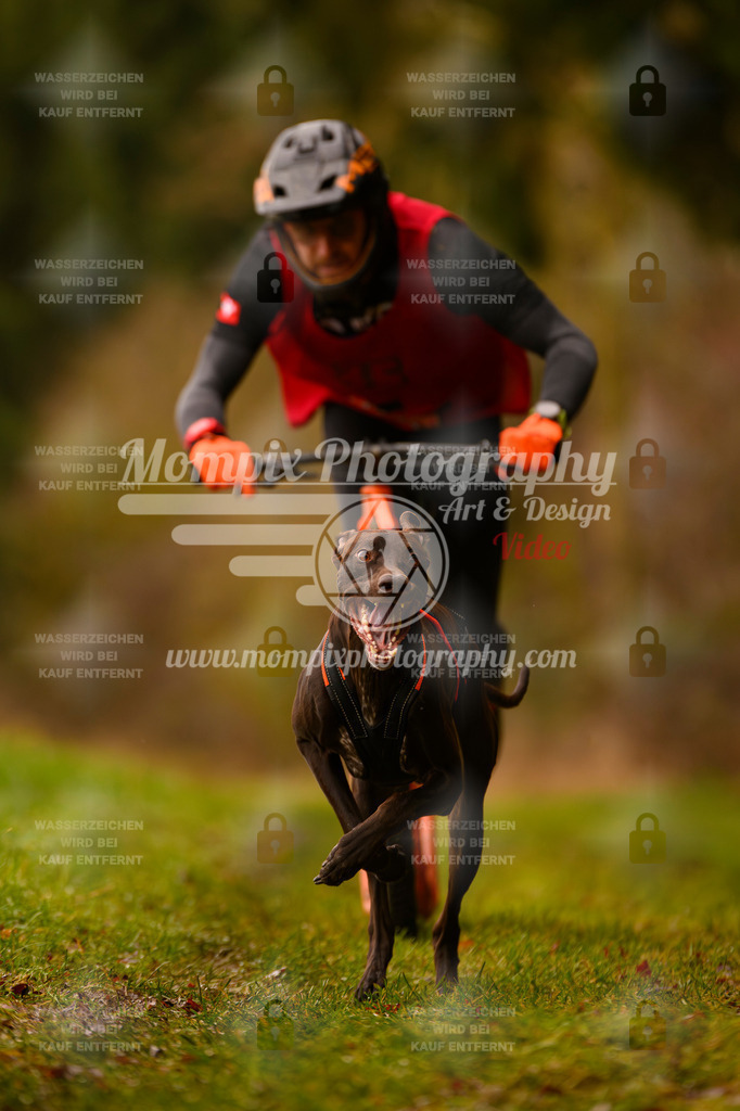 MompixPhotography_2SSTSSBW_2025_SO_Scooter-3 | PayLife