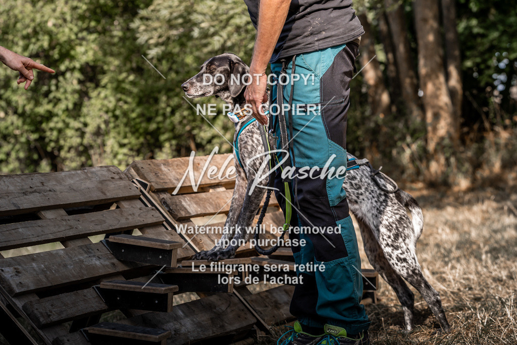 nelerasche_slaw24So_298 | nelerasche