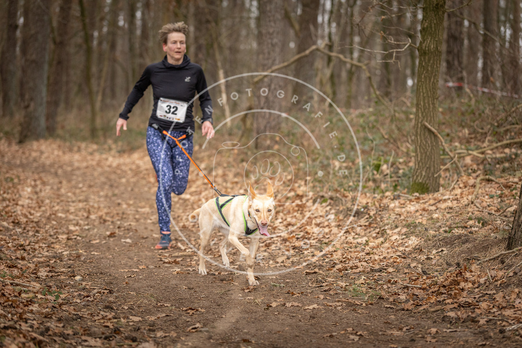 Pfotenfotografie_DV3A9471 | Hundefotografie, Tierfotograf, Pfotenfotografie, Fotoshooting Hund, Hunde Portrait, Hundesport, Hundeportraits, Heideshooting, Hunde, Sportfotograf, Hundefotograf, Turnierhundsport, THS,  - Realisiert mit Pictrs.com