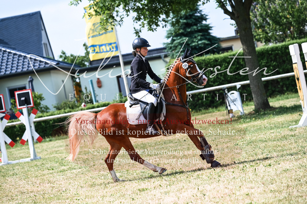 DSC_8725 | Pferde- und Turnierfotografie in Westsachsen. Pferdeportraits, Auftragszeichnungen und intuitive Kunst.