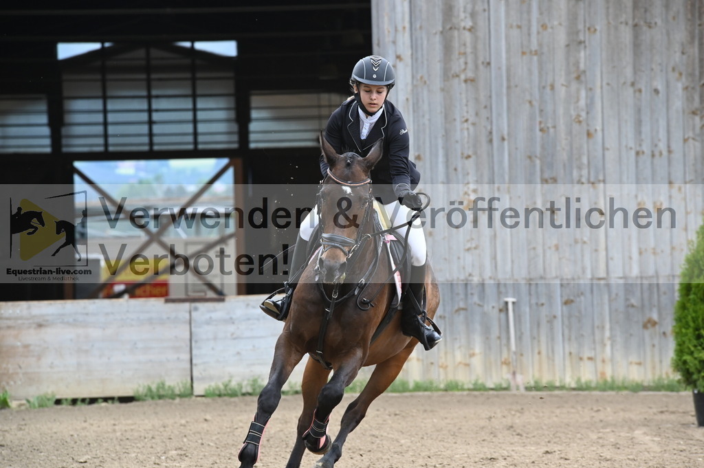 DSC_8111 | equestrian-live-com