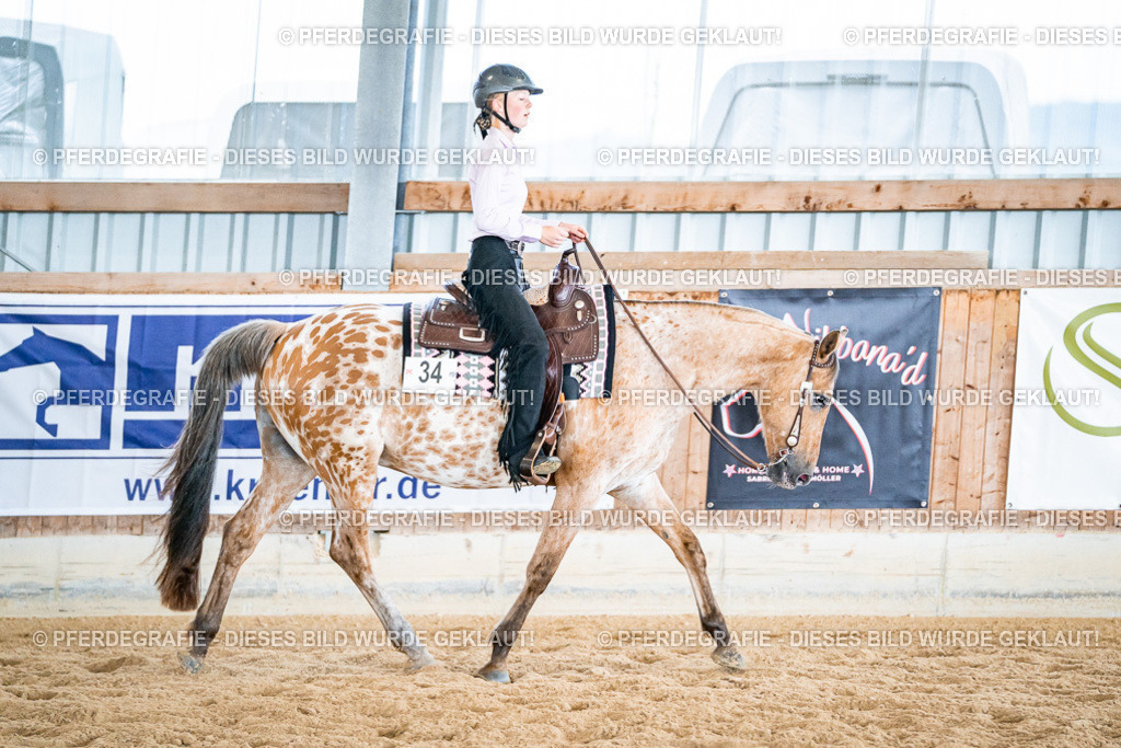 DSC02583 | Pferdegrafie