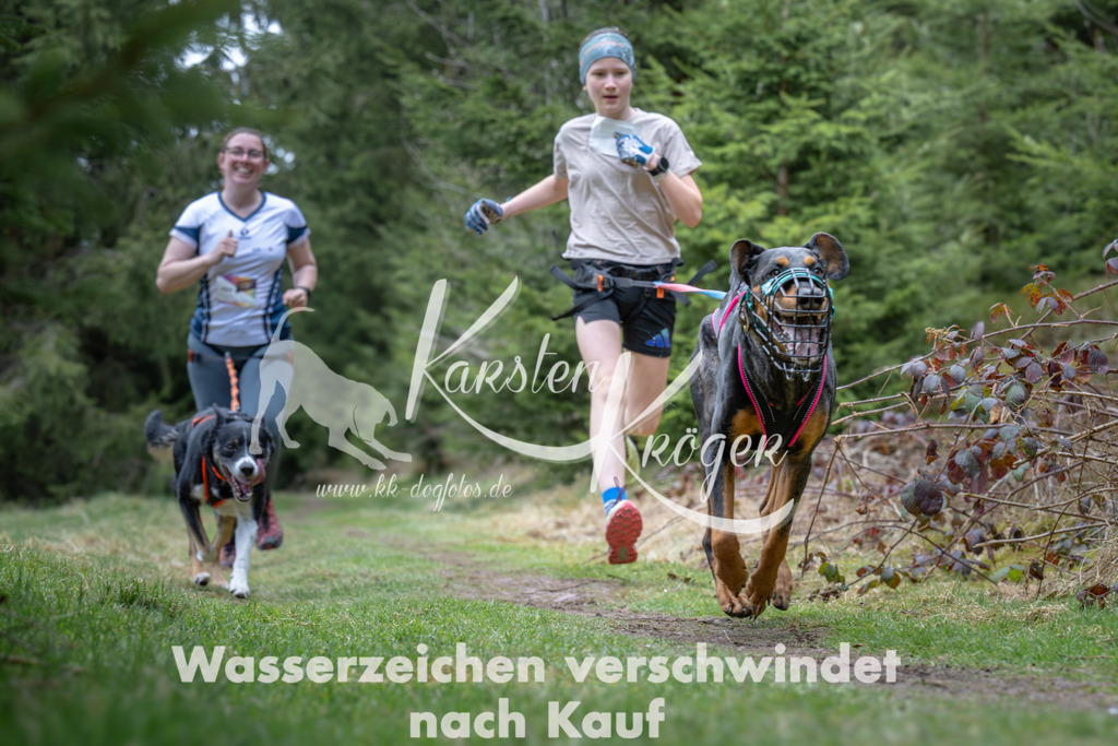 1305_ZZ93584 | kk-dogfotos