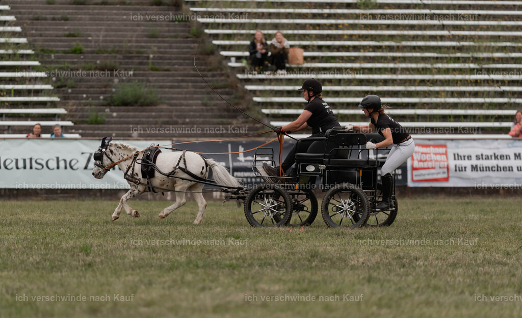 Showprogramm-513 | working equitationturnier fotograf videograf stoibphotography marixx film working equitation deutschland reitsport turnierfotografie eventfotografie equestrian events