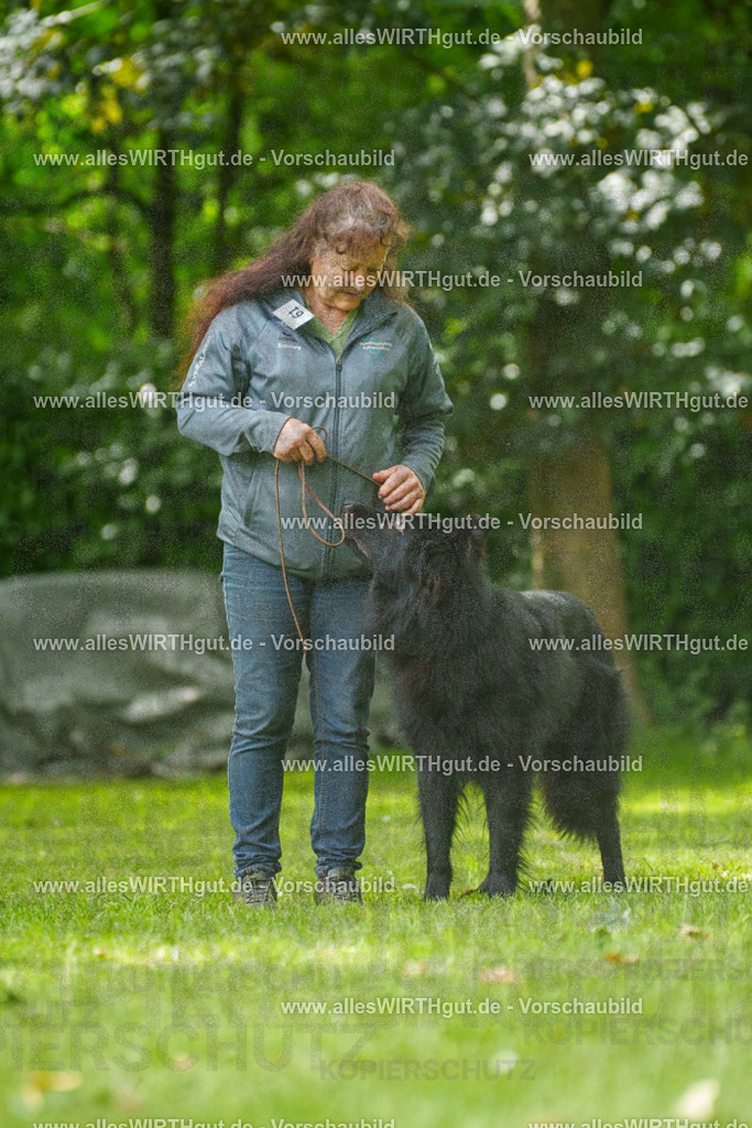 @allesWIRTHgut_Tierfotografie - www.allesWIRTHgut.de - 7R501632 | Professionelle Tierfotografie in Mönchengladbach von Daniel Wirth (allesWIRTHgut). Liebevolle & natürliche Bilder von Hunden & Katzen für unvergessliche Erinnerungen.
