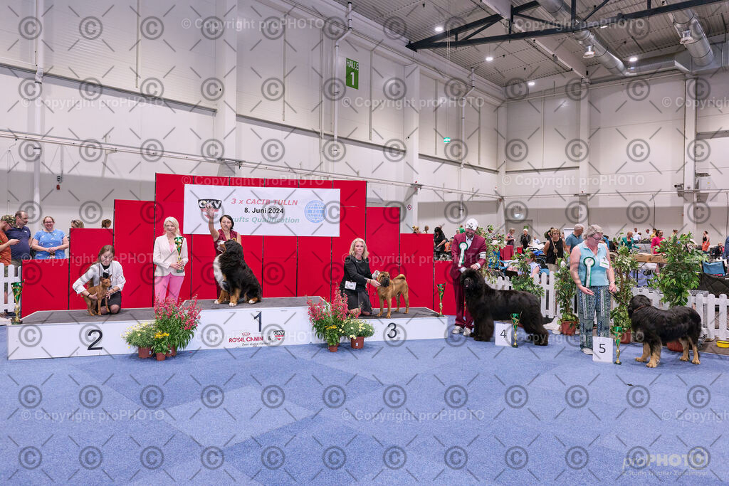 202406_ÖKV-IHA-Tulln24_NZ9_8661 | proPHOTO - Realisiert mit Pictrs.com