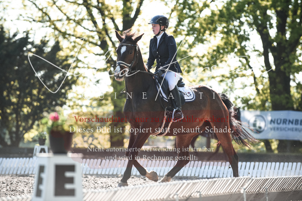 DSC_8305 | Pferde- und Turnierfotografie in Westsachsen. Pferdeportraits, Auftragszeichnungen und intuitive Kunst.