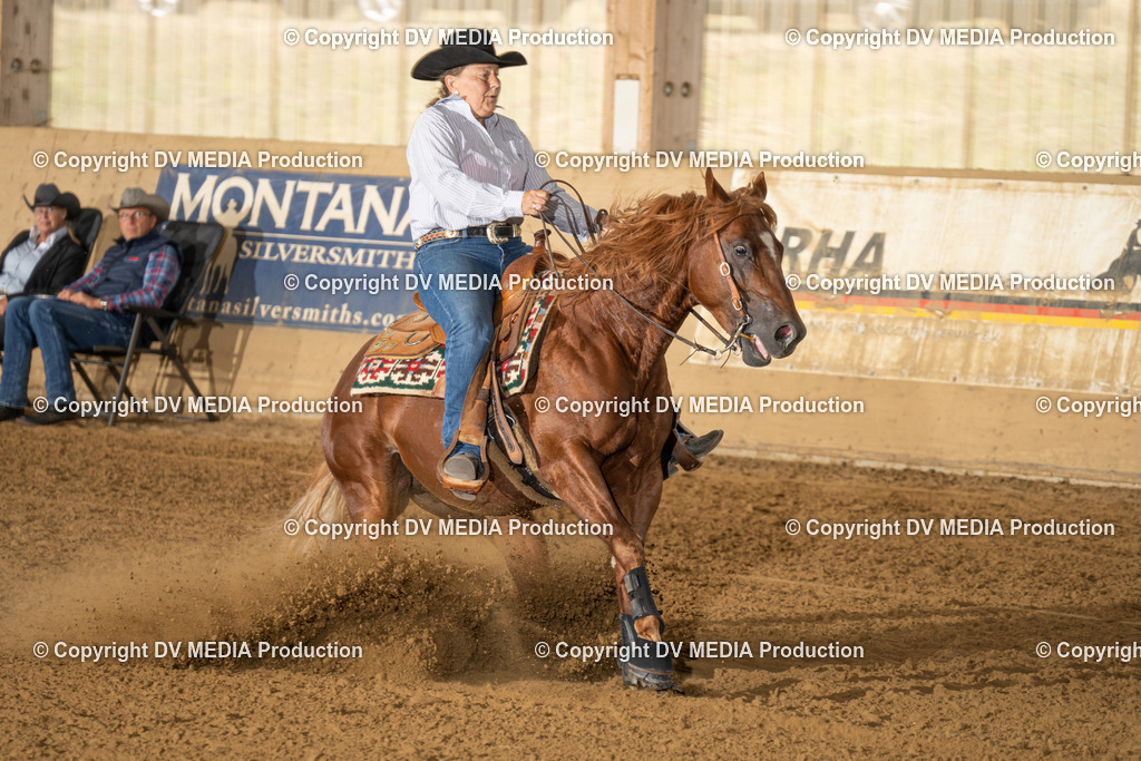 LAU01594 | dv-media-shop - Realisiert mit Pictrs.com