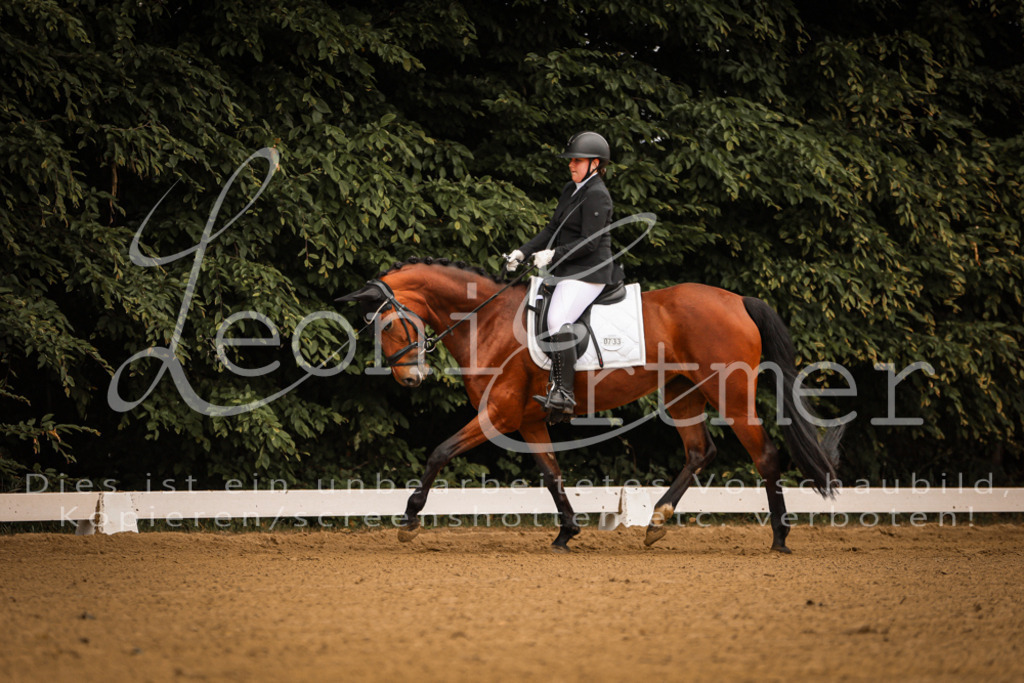 DoDrE00030 | Leoni Ertmer Photography - Realisiert mit Pictrs.com