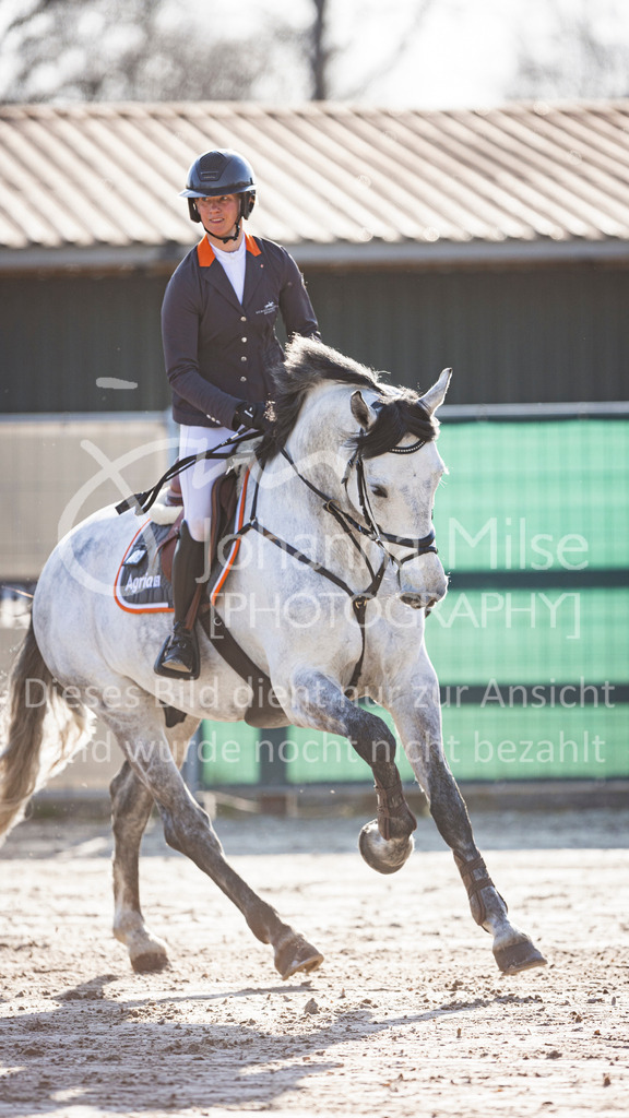 250408_Mühlen_SprPf-M-507 | Deine schönsten Turniermomente als professionelle Fotos! Entdecke hochwertige Pferdesport-Fotografie im Online-Shop. Jetzt Fotos finden & bestellen!