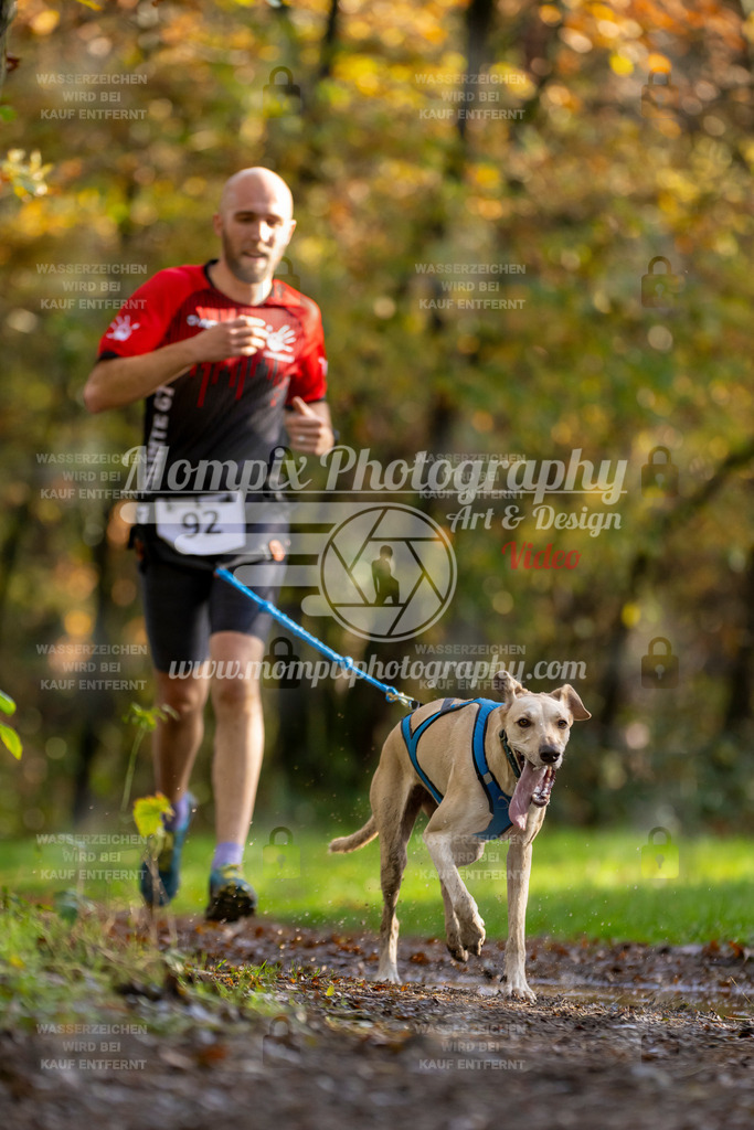 MompixPhotography_Bischwiller23_Canicross-27 | PayLife