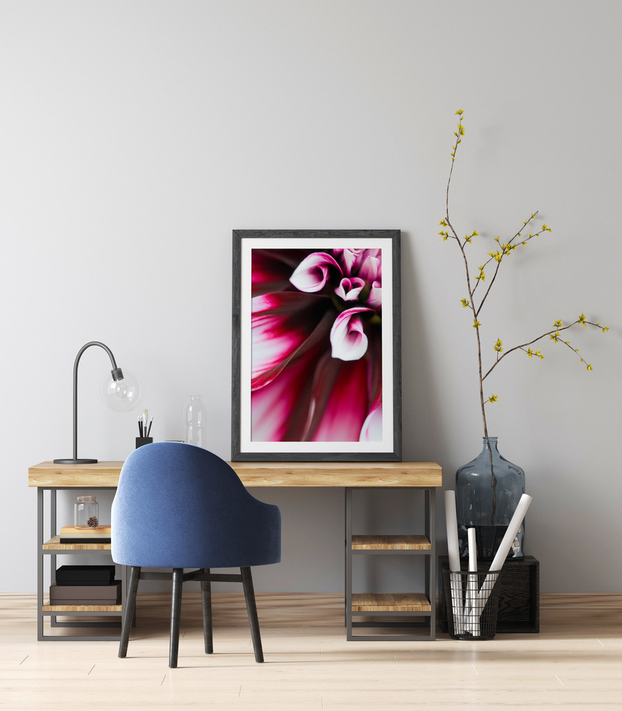 Makroportrait einer Dahlienblüte fürs Wohnzimmer | Sie finden dieses Motiv in der Galerie Farben und Formen der Natur - Blütenpracht (https://shop.soulimages.eu/img/f3omw5). - Realisiert mit Pictrs.com