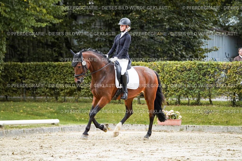 DSC06370 | Pferdegrafie