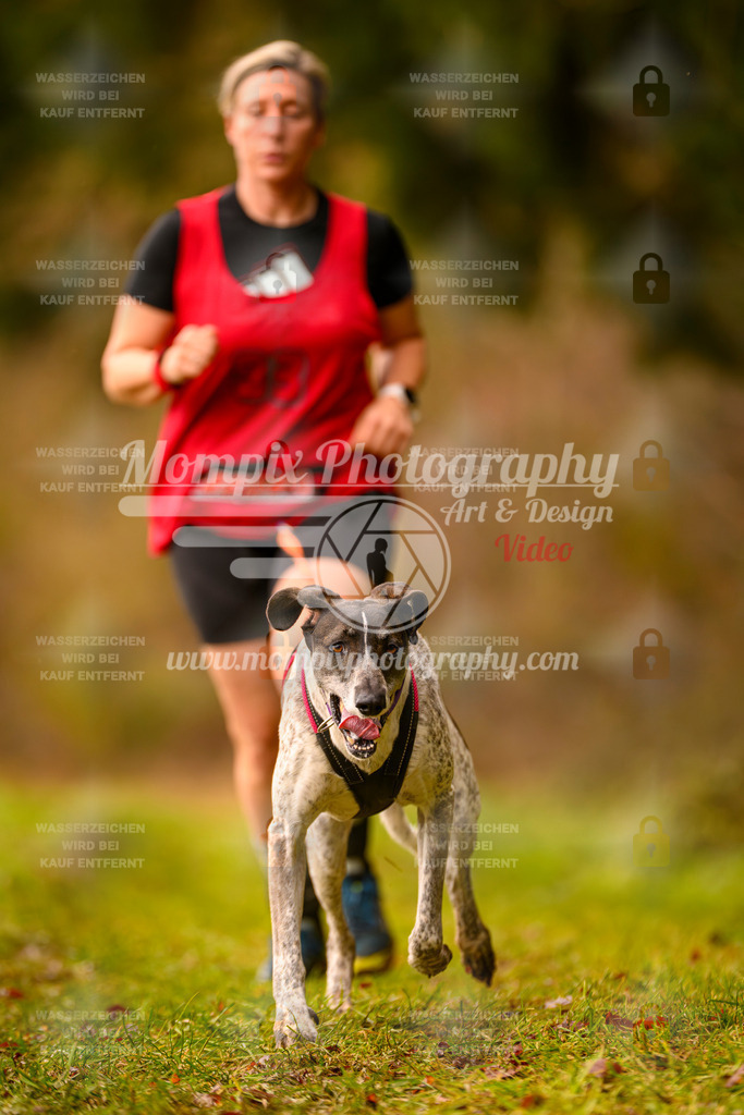 MompixPhotography_2SSTSSBW_2025_SO_Canicross-35 | PayLife