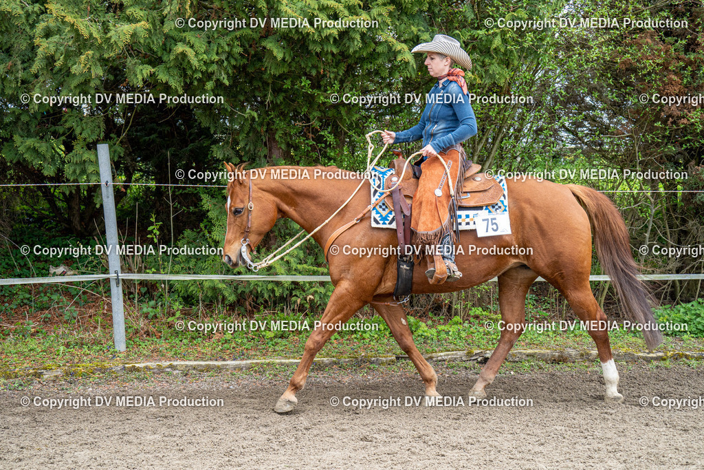 BAL00697 | dv-media-shop - Realisiert mit Pictrs.com