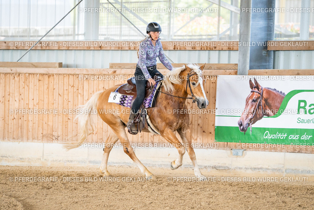 DSC02502 | Pferdegrafie