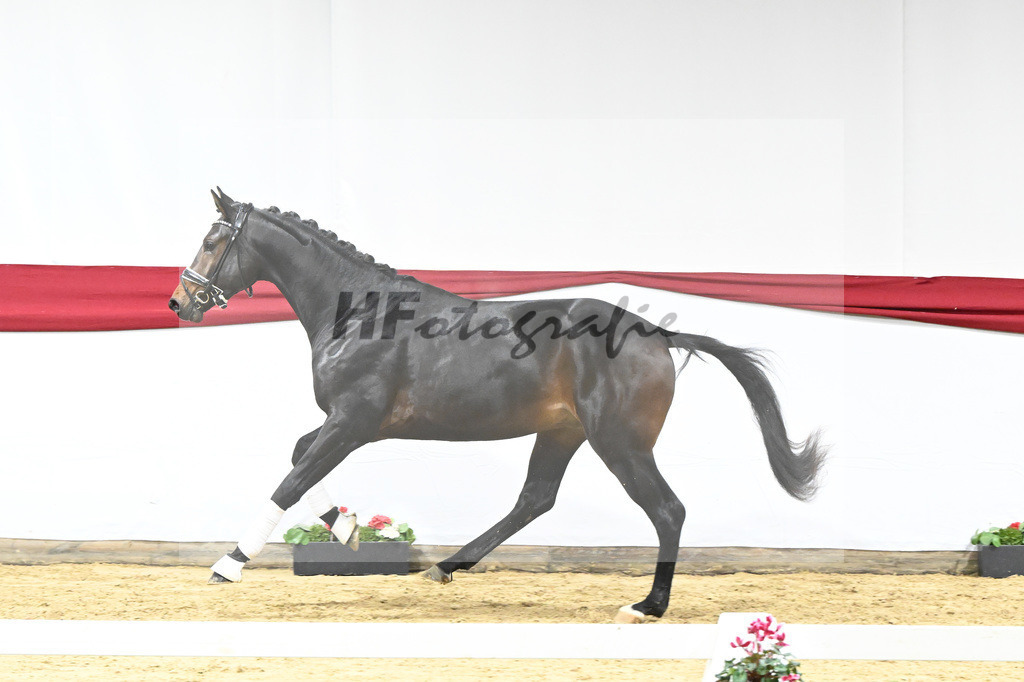 Kat-Nr. 53 v. Marc Cain_van der Raadt_63221491 | hf-fotografie - Realizzato con Pictrs.com