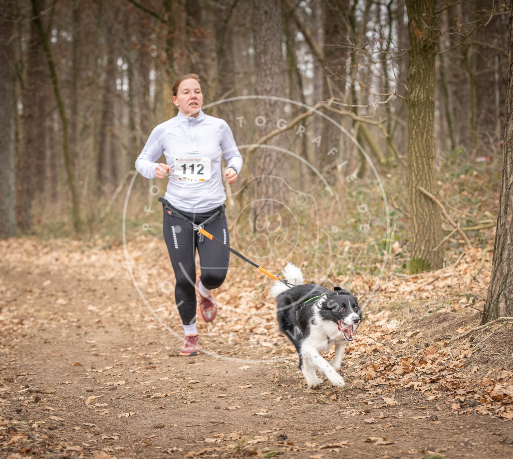 Pfotenfotografie_DV3A7705 | Hundefotografie, Tierfotograf, Pfotenfotografie, Fotoshooting Hund, Hunde Portrait, Hundesport, Hundeportraits, Heideshooting, Hunde, Sportfotograf, Hundefotograf, Turnierhundsport, THS,  - Realisiert mit Pictrs.com