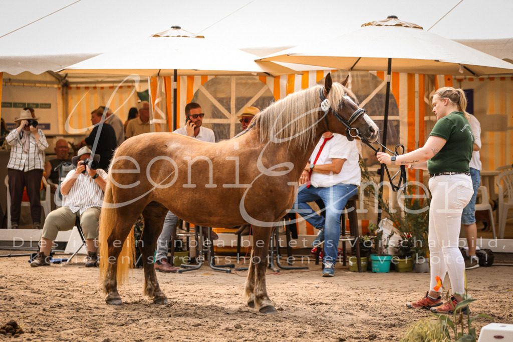 5.Sa00004 | Leoni Ertmer Photography - Realisiert mit Pictrs.com