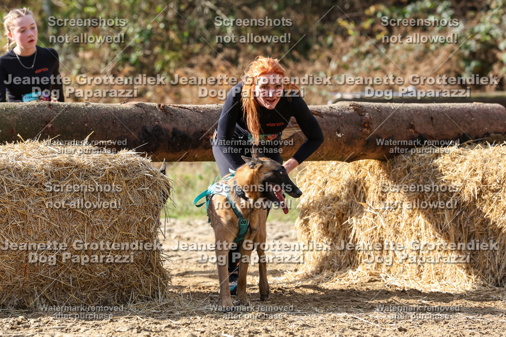 Dog Paparazzi - Strongdog 10-25-5244 | Dog Paparazzi Jeanette Grottendiek Fotografie & Videografie - Realisiert mit Pictrs.com