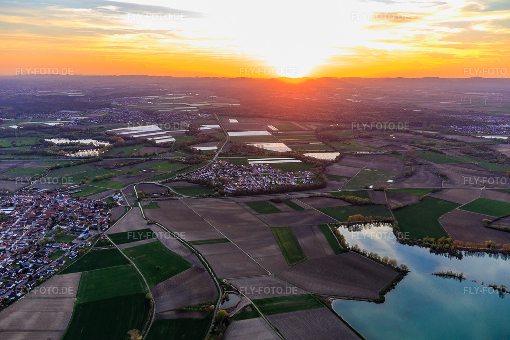 Luftbild: Sonnenuntergang in der Rheinebene im Ortsteil Hardtwald in Neupotz im Bundesland Rheinland-Pfalz in Deutschland. Foto: IMG_106673.jpg vom 17.04.2018 durch Werner Riehm/FLY-FOTO.de