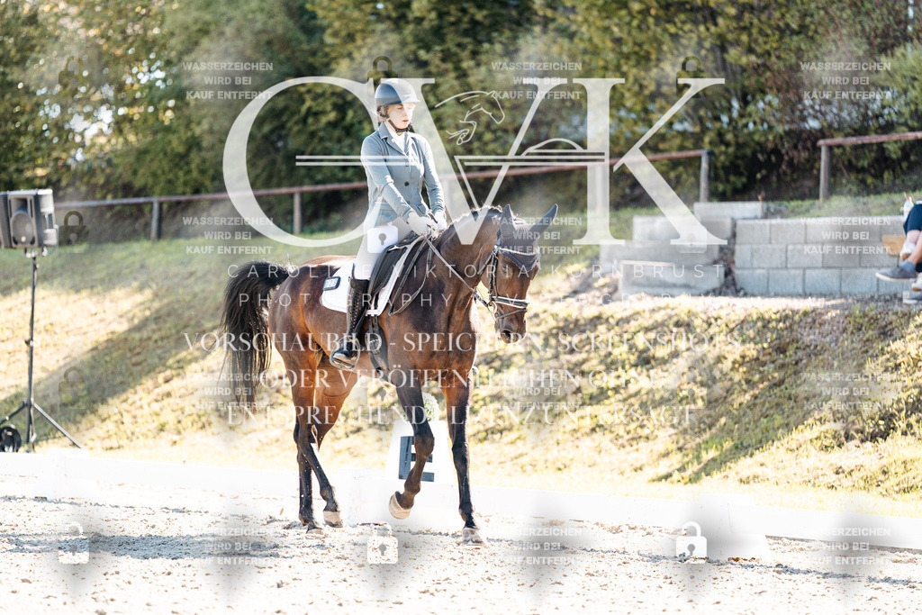 CK908825 | Turnierfotografie Pferdefotografie Trier Rheinland-Pfalz Pferdesport Reitsport Tierfotografie Sportfotografie Pferdevideo Pferdevideografie Equestrianvideography equestrianphotography  - Realisiert mit Pictrs.com