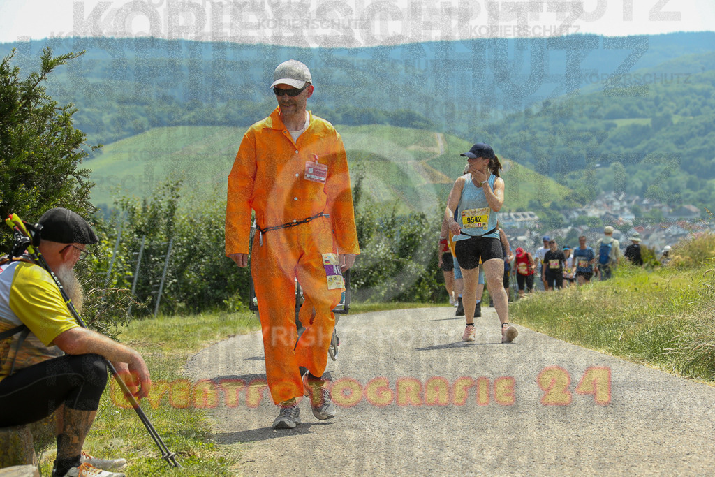 250614_1358_EX1_9795 | Sportfotografie im Rhein-Sieg Kreis, Köln, Bonn, NRW, Rheinland Pfalz, Hessen, etc. Unser Tätigkeitsfeld umfasst den Laufsport vom Volkslauf über den Marathon, Duathlon, Triathon bis zum Ultralauf wie Kölnpfad Ultra oder Schindertrail.