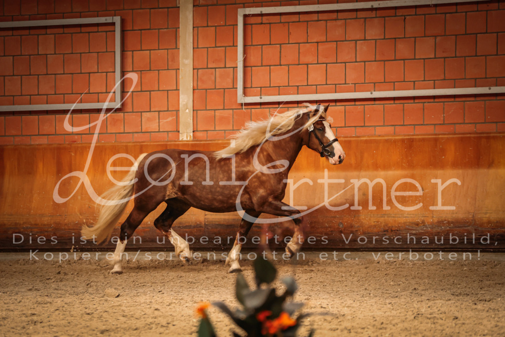 SaFL00456 | Leoni Ertmer Photography - Realisiert mit Pictrs.com