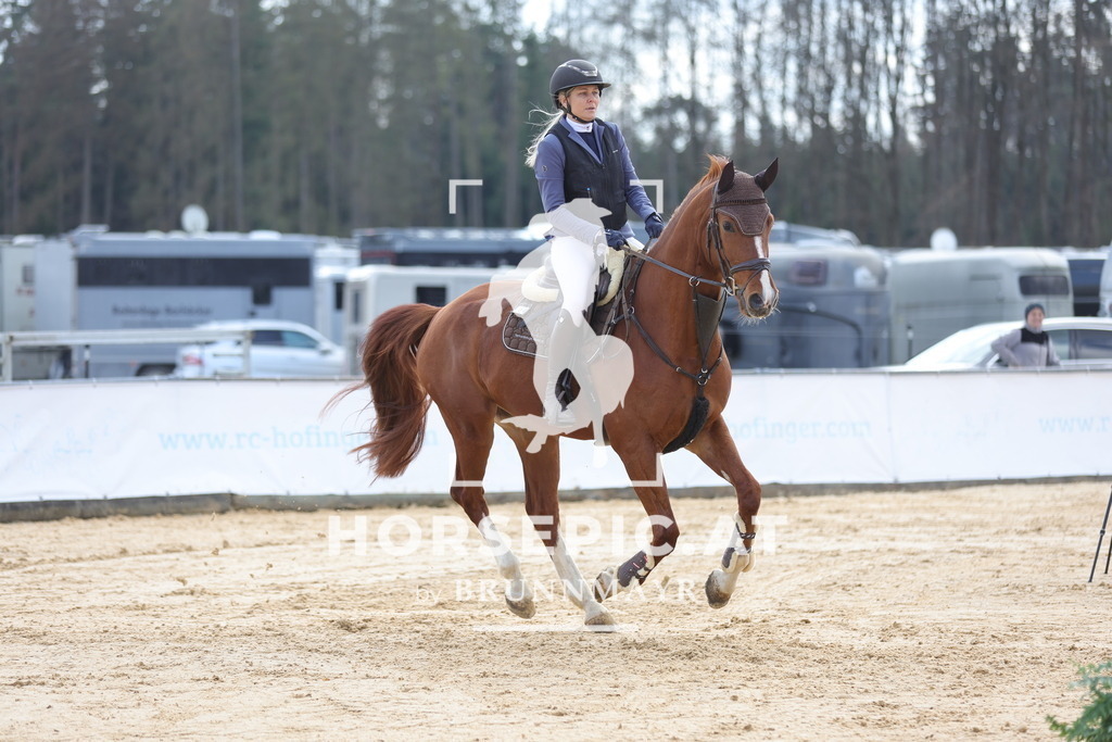 0P6A7156 | Willkommen bei Brunnmayr - Design & Fotografie – Ihrem Spezialisten für Reitturniere und Pferdeveranstaltungen in Oberösterreich, Salzburg und Bayern! Seit über 17 Jahren sind wir leidenschaftlich dabei.
