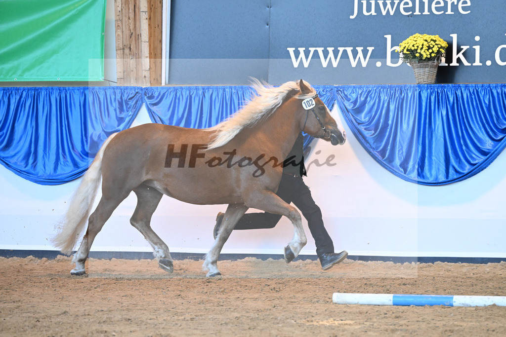 Kat-Nr. 102 Malea_ZG Schmidt_53220712 | hf-fotografie - Realizzato con Pictrs.com