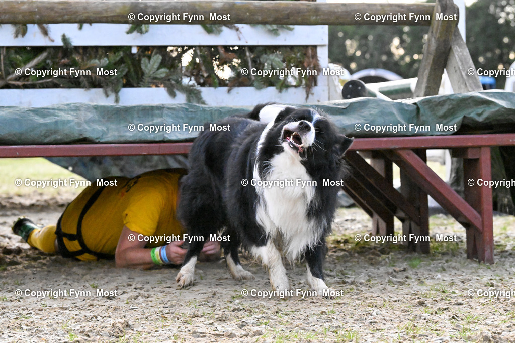 DSC_3559 | Hallo und herzlich Willkommen auf meiner Shop-Seite Fynn Most.

Ich wünsche Dir viel Spaß beim stöbern durch die Bilder, wenn Du Fragen hast oder Bilder vermisst, kannst du mir gerne eine Nachricht schreiben. - Realisiert mit Pictrs.com