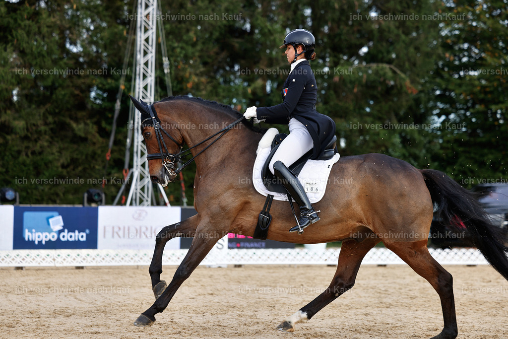 13-186-S___ -StoibPH-7024 | working equitationturnier fotograf videograf stoibphotography marixx film working equitation deutschland reitsport turnierfotografie eventfotografie equestrian events