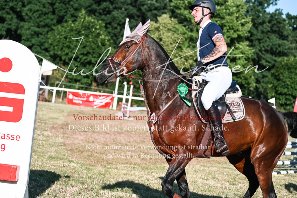 DSC_3201 | Pferde- und Turnierfotografie in Westsachsen. Pferdeportraits, Auftragszeichnungen und intuitive Kunst.