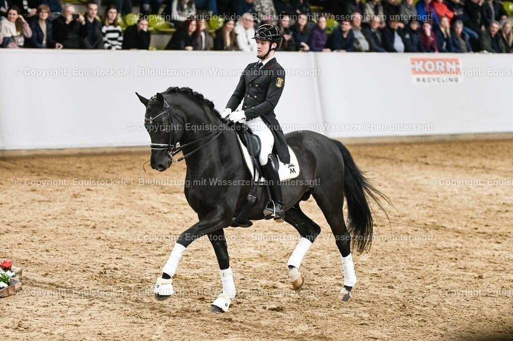 20260307_Hengstvorstellung-Marbach_0273 | equistock