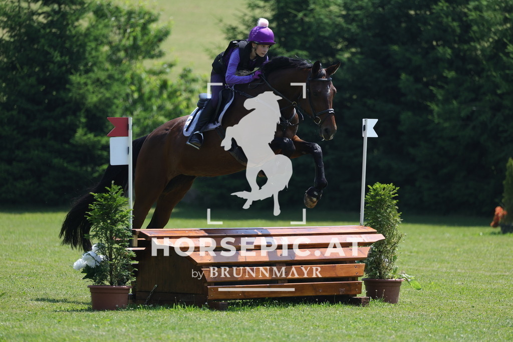 0P6A8097 | Willkommen bei Brunnmayr - Design & Fotografie – Ihrem Spezialisten für Reitturniere und Pferdeveranstaltungen in Oberösterreich, Salzburg und Bayern! Seit über 17 Jahren sind wir leidenschaftlich dabei.