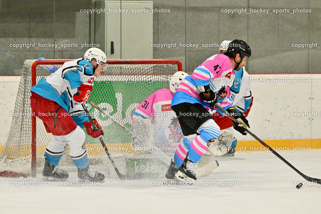 Sunshine Hockey League Spieltag 4. | #37 David Waschnig Lendhafen Seelölwen, #31 Jakob Sprachmann HC Krocha, #47 Marcel Witting HC Krocha, Sunshine Hockey League Spieltag 4., Sunshine Hockey League Spieltag 4. am 27.06.2025 in Ferlach (Eishalle Ferlach ), Austria, (Photo by Bernd Stefan)