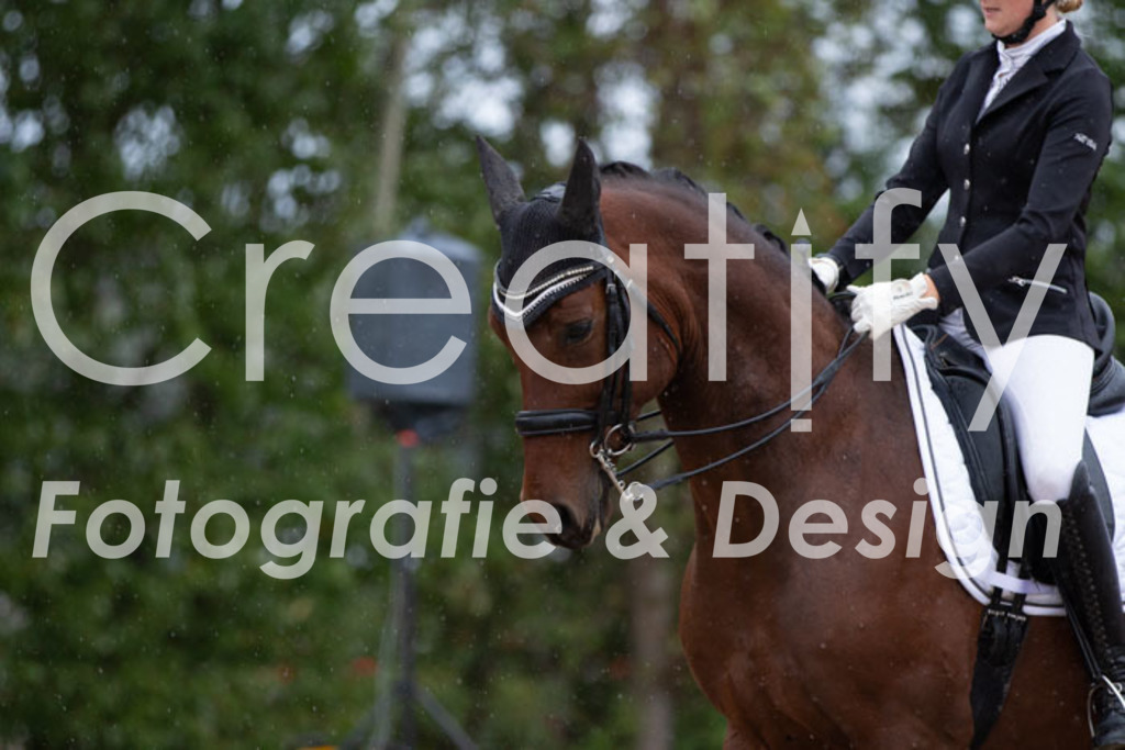 IMG_7149 | Creatify Fotografie