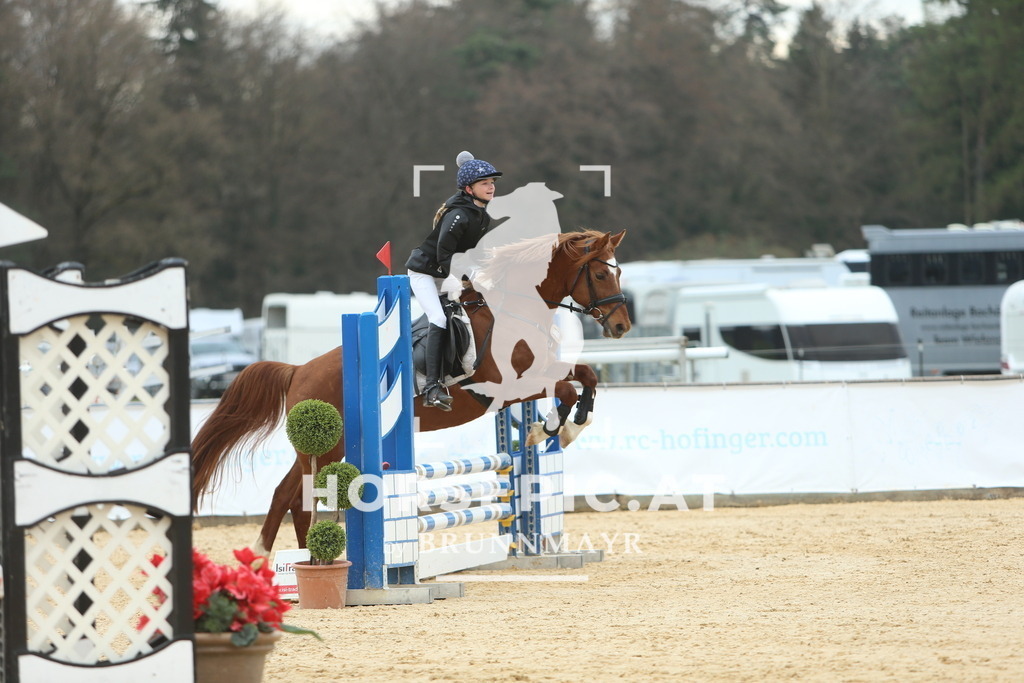 DL2Q2328 | Willkommen bei Brunnmayr - Design & Fotografie – Ihrem Spezialisten für Reitturniere und Pferdeveranstaltungen in Oberösterreich, Salzburg und Bayern! Seit über 17 Jahren sind wir leidenschaftlich dabei.