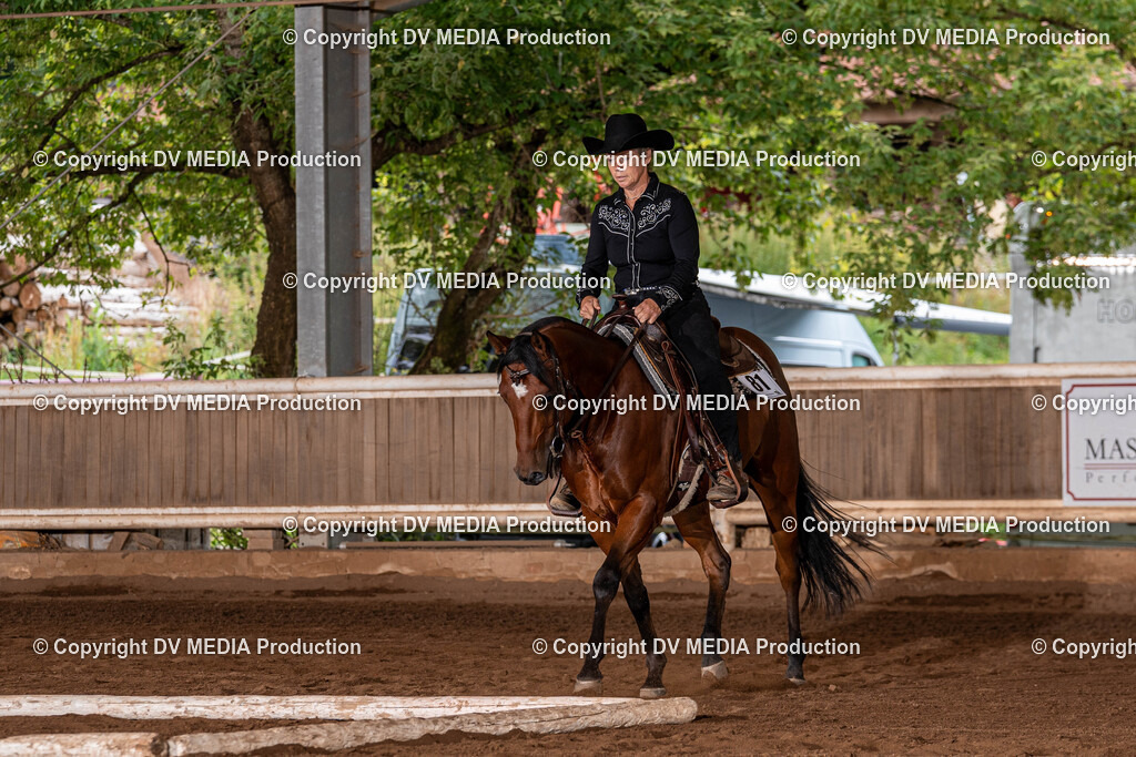 Erbach Tag 2-303 | dv-media-shop - Realisiert mit Pictrs.com