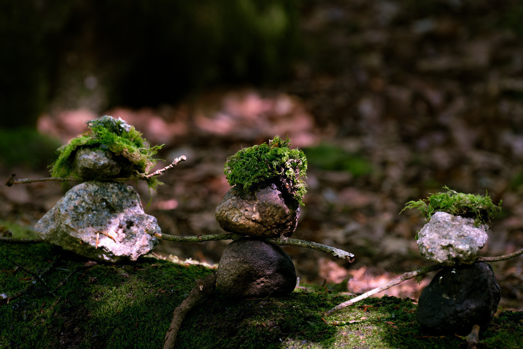 DSCF6838-2 | Tier- & Landschaftsfotografie und Porträtshootings. Entdecke einzigartige Fotokunst als Wandbild, Tasse oder Mauspad – mit Leidenschaft fotografiert - Realisiert mit Pictrs.com