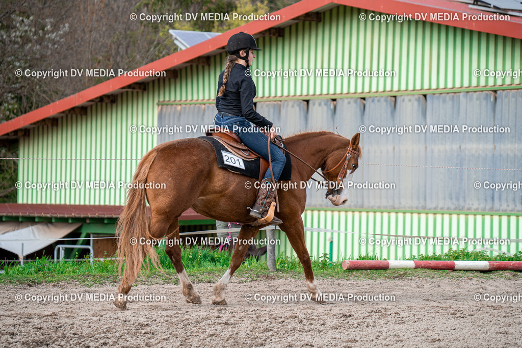 BAL02783 | dv-media-shop - Realisiert mit Pictrs.com