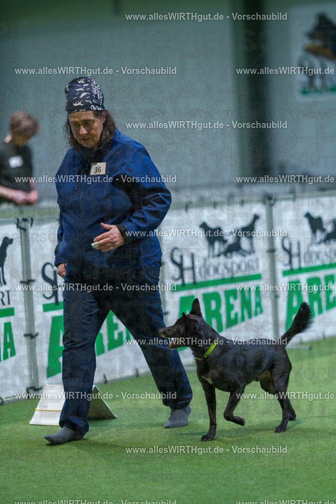 7R505997 | Professionelle Tierfotografie in Mönchengladbach von Daniel Wirth (allesWIRTHgut). Liebevolle & natürliche Bilder von Hunden & Katzen für unvergessliche Erinnerungen.